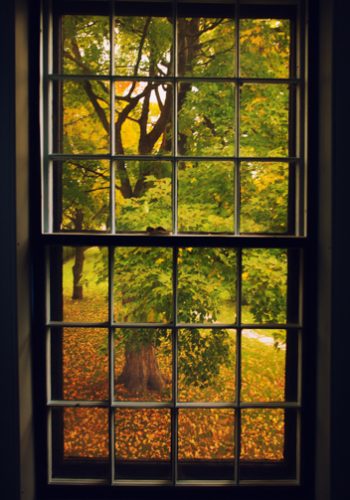 Autumn Outside the Window, Vermont