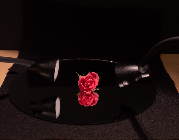 Rose Reflection Lighting Set Up