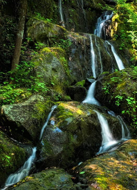 Place of a Thousand Drips, Smoky Mountains - Before