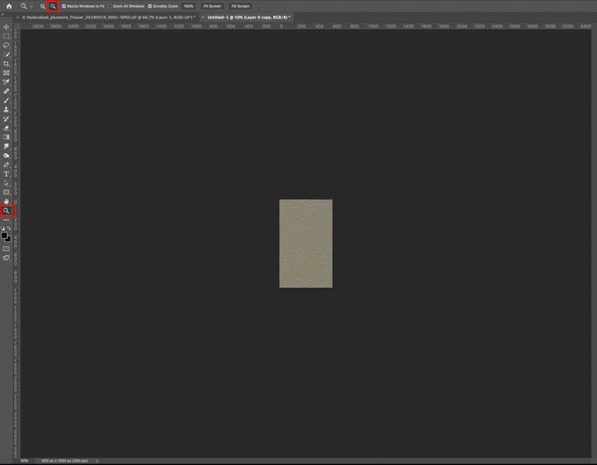 Zoom Tool