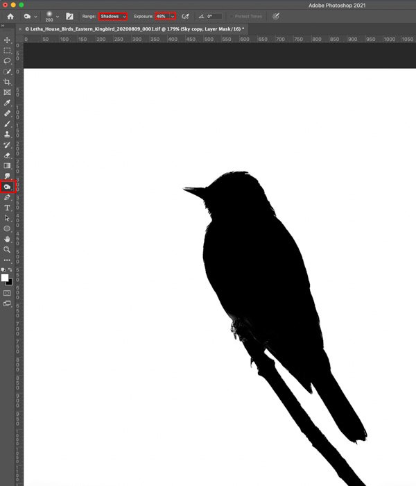 Using the Burn Tool on a Layer Mask