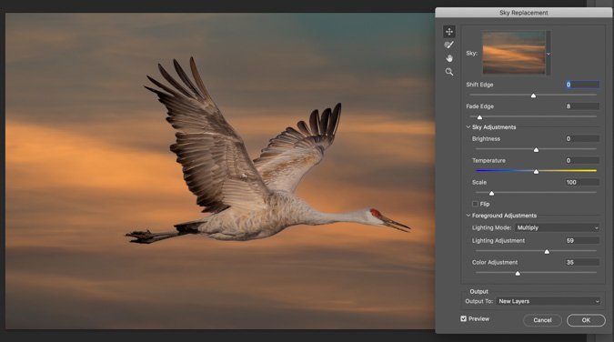 Sandhill Crane Sunset Sky Replacement